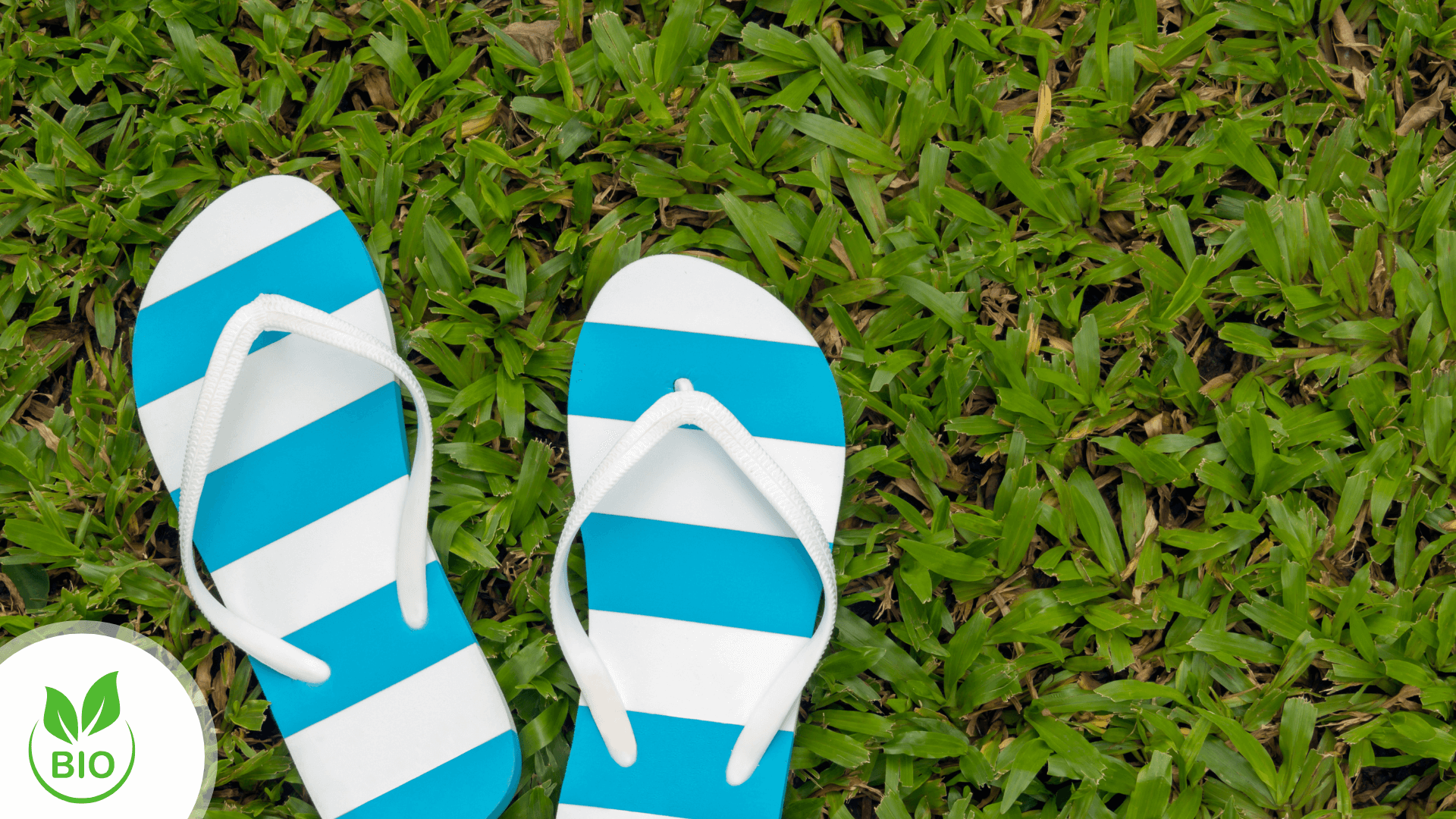 Stepping into Sustainability: Biodegradable Polyurethane Flip-Flops Made with Algae Oil