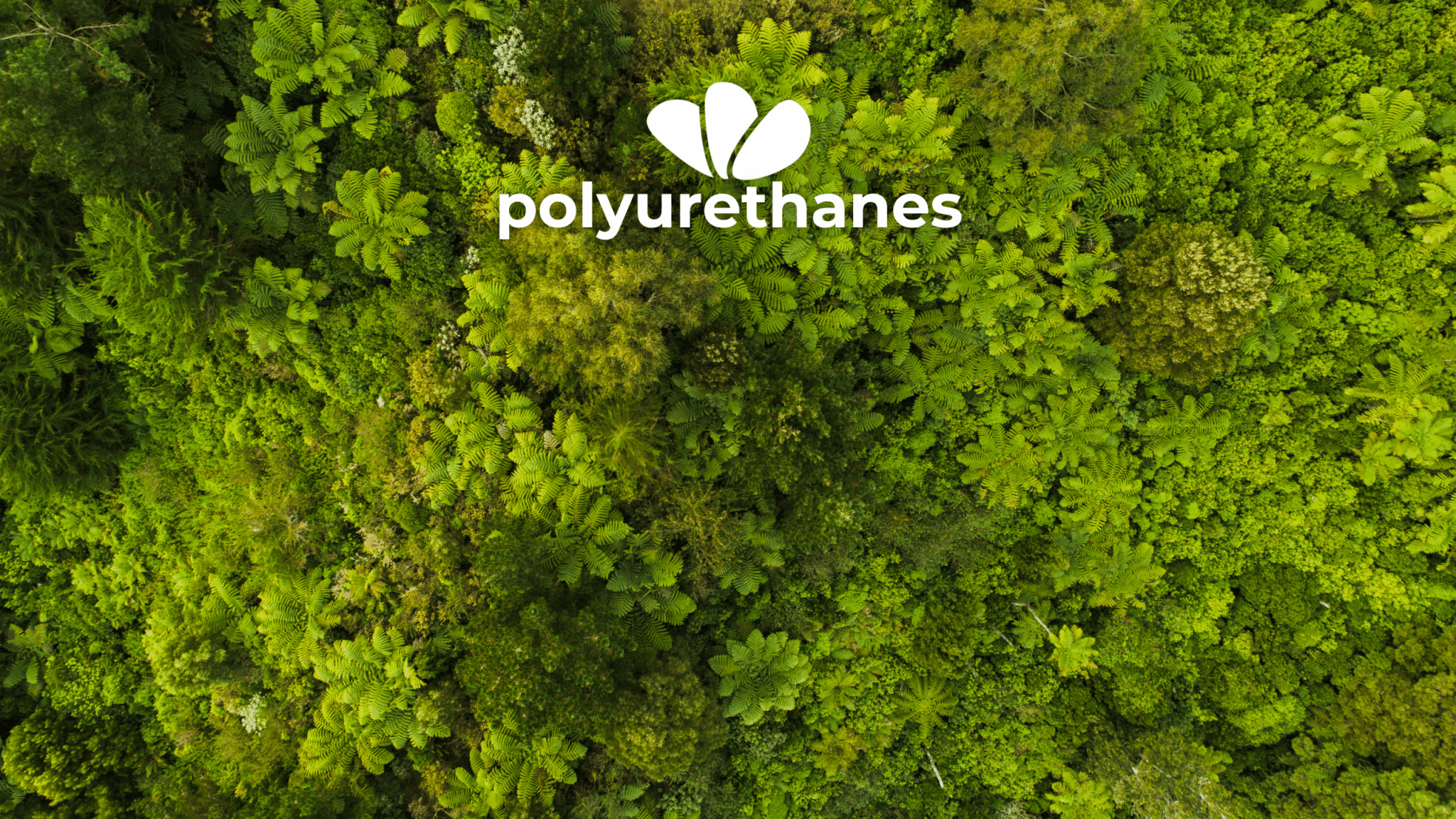 Polyurethane Monthly Wrap: September 2025