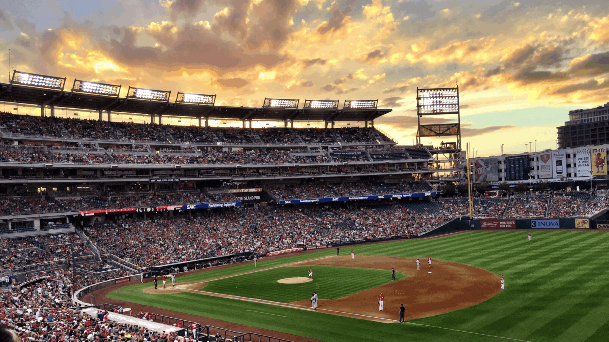 Polyurethane and Baseball: The Material Behind the Game