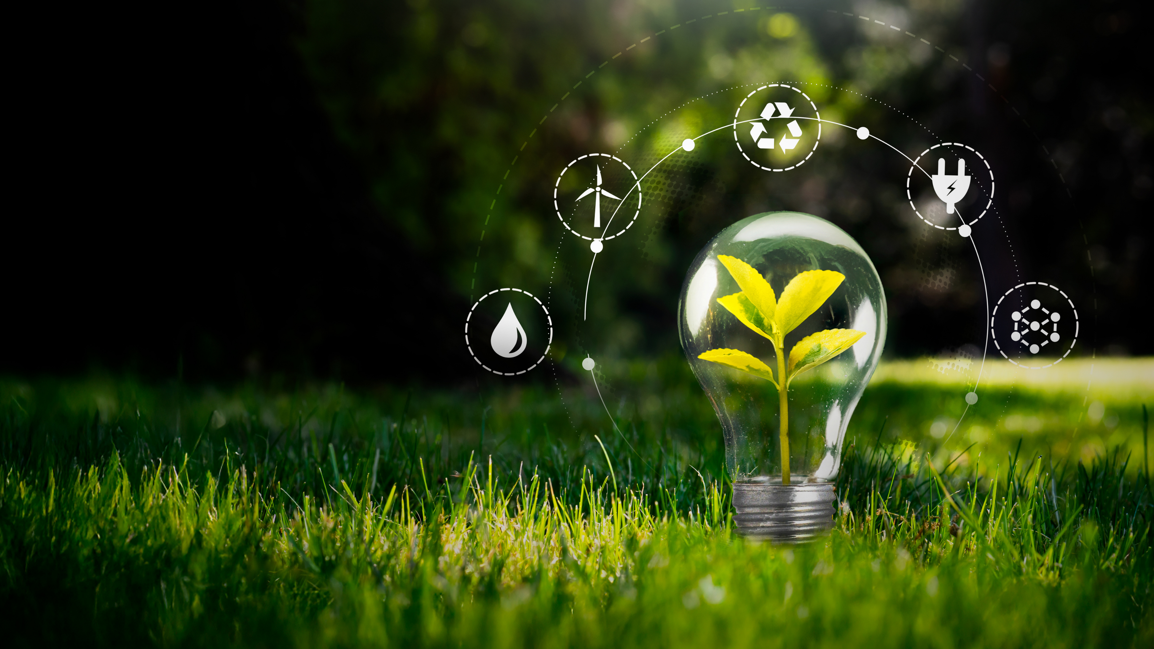 Polyurethanes Monthly: January 2026